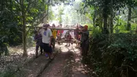 12 orang mengarak sapi yang telah dipotong ke lokasi ritual selamatan. (Liputan6.com/Muhamad Ridlo)