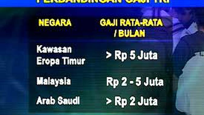 Peluang Kerja Di Polandia Global Liputan6 Com