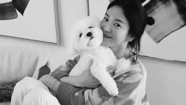 [Fimela] Suzy dan Song Hye Kyo