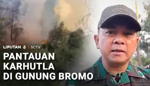 Kondisi Terkini Pemadaman Karhutla Gunung Bromo, 742 Hektare Lahan Terbakar