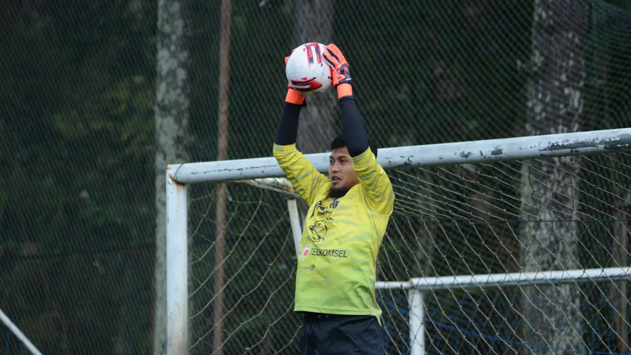 Persib Bandung, Deden Natshir