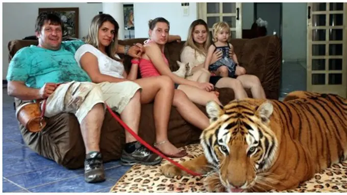 Foto : copyright oddstuffmagazine.com