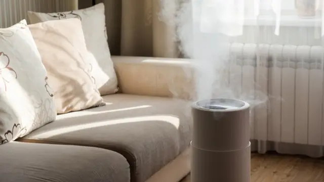 Pilih air purifier dengan fitur humidifying