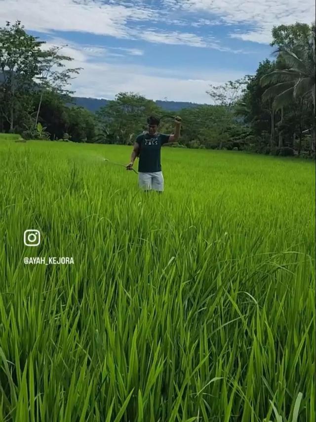 Ayah Lesti Kejora Jadi Petani