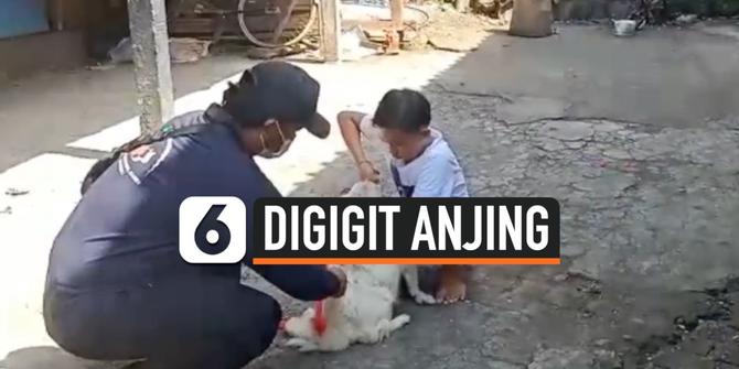 VIDEO: Anjing Rabies Gigit 7 Warga di Bali