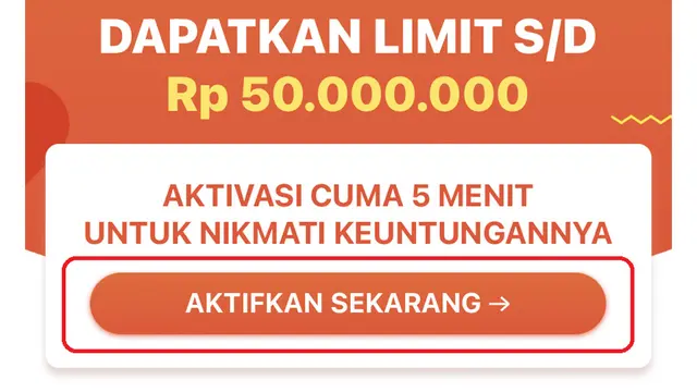 SPayLater