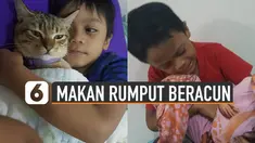 Video bocah menangis setelah mengetahui kucingnya makan rumput beracun viral di media sosial.
