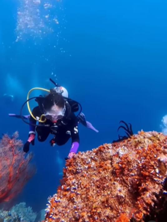 Dalam unggahannya, Natasha Wilona juga membagikan momen saat menjajal diving. Dirinya terlihat begitu asyik menjelajahi wisata bawah laut yang ada di Raja Ampat. (Liputan6.com/IG/@natashawilona12)