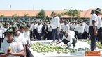 Citizen6, Surabaya: Usai lari siang, ribuan prajurit Kobangdikal pesta buah mangga. (Pengirim: Penkobangdikal). 