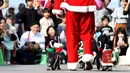 Penguin Afrika mengenakan kostum bertema Natal menghibur penonton di Hakkeijima Sea Paradise di Yokohama (11/11). Acara The aquarium's Christmas ini digelar dari 11 November hingga perayaan Natal, 25 Desember. (AFP Photo/Toshifumi Kitamura)