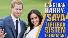 THUMBNAIL HARRY