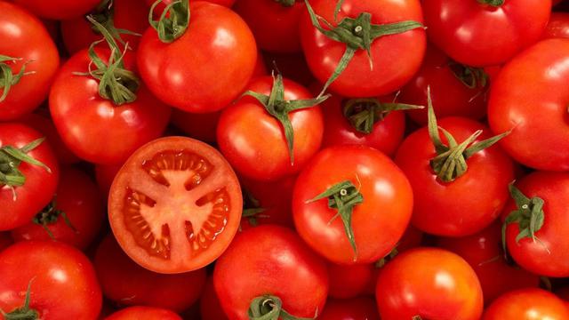 [Bintang] Ilustrasi Makanan Buah Tomat