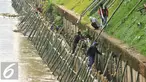 Pekerja memasang turap dari bambu sepanjang 600 meter di Bantaran Kali Ciliwung, Jakarta, Jumat (5/8). Pemasangan tersebut untuk menahan dinding tanah yang kerap longsor. (Liputan6.com/Gempur M Surya)