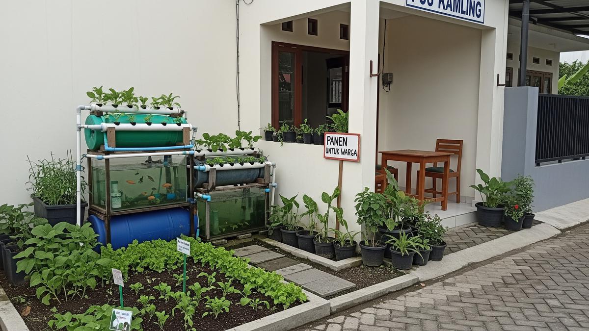 10 Ide Kebun Sayur Mini di Pos Kamling, Panen untuk Warga Sekitar