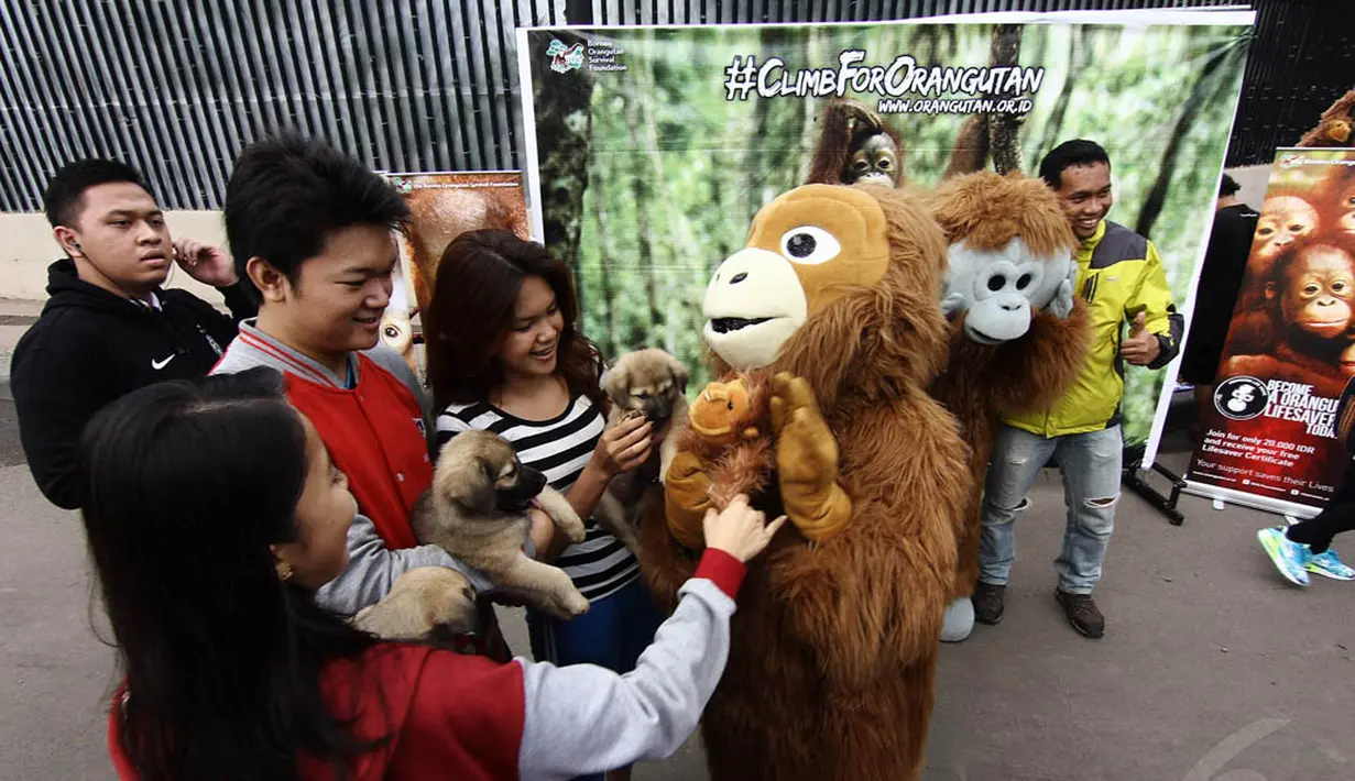 Kegiatan kampanye tersebut untuk mengajak masyarakat agar lebih memerhatikan keberadaan orangutan yang tersingkir dari habitatnya, Jakarta, Minggu (30/11/2014).(Liputan6.com/Faizal Fanani) 