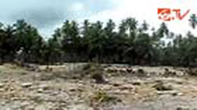 Ratusan Rumah di Sibora Selatan Tersapu Bersih