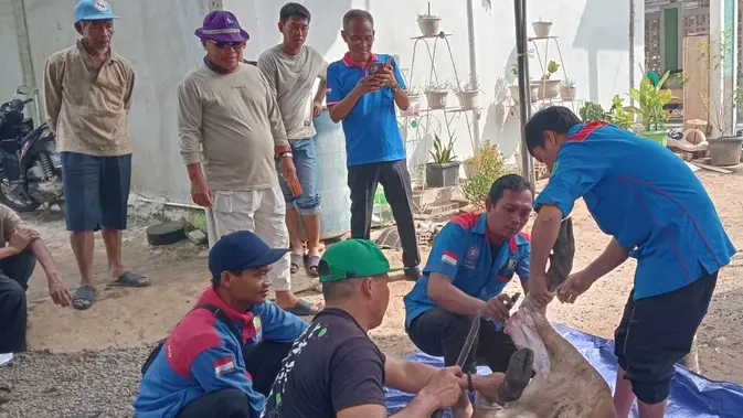 Bantu Buruh, KSPSI Bareng Kapolri Salurkan Hewan Kurban ke-12 Titik di Indonesia