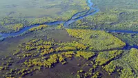 World Wetlands Day 2026: What Is It & Why Is It Important