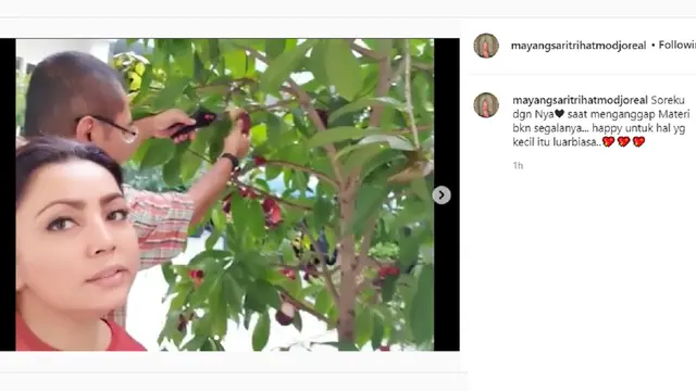 Mayangsari