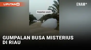 Bukan Awan Jatuh, Ternyata Ini Gumpalan Busa Misterius di Riau