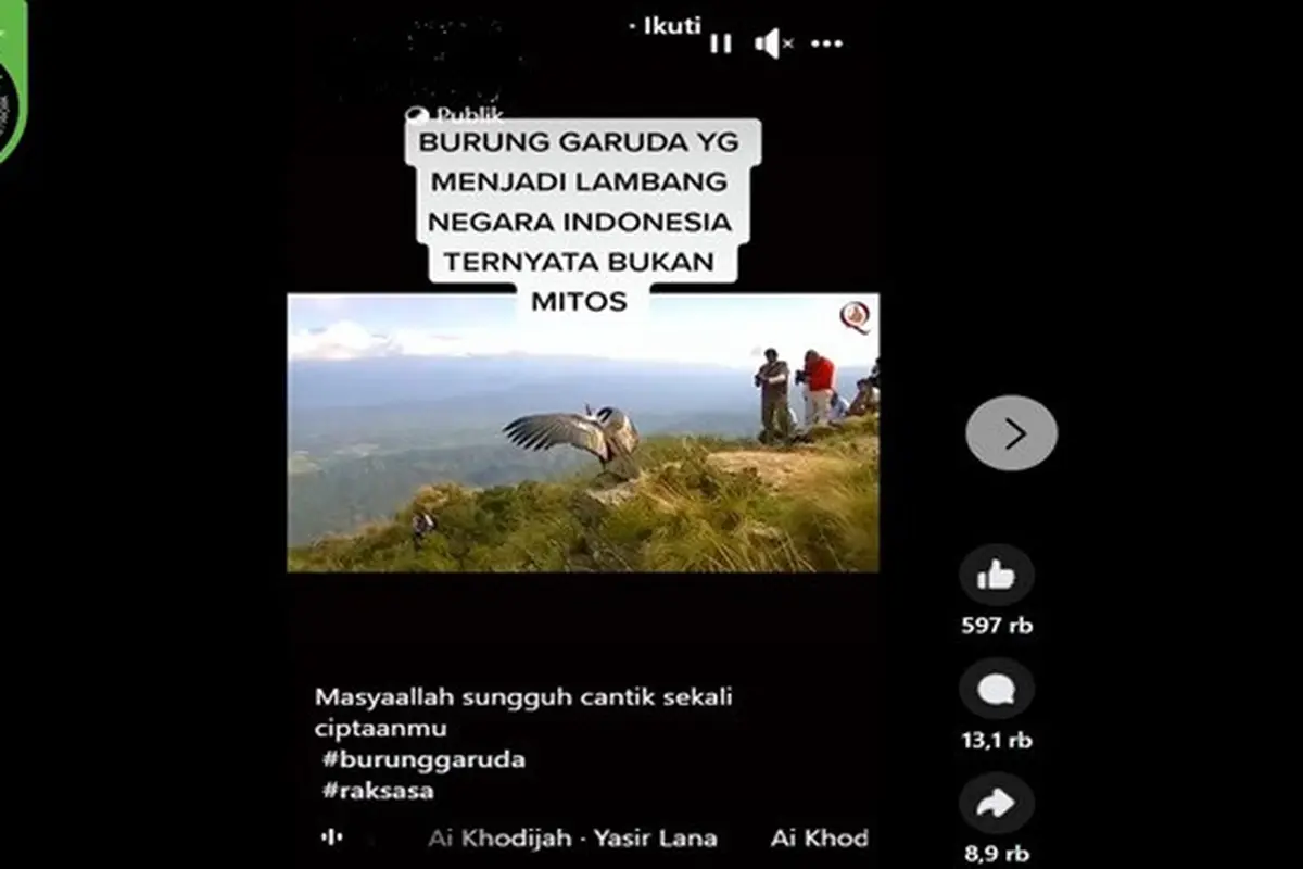 Gambar tangkapan layar video yang diklaim penampakan burung Garuda. (sumber: Facebook)