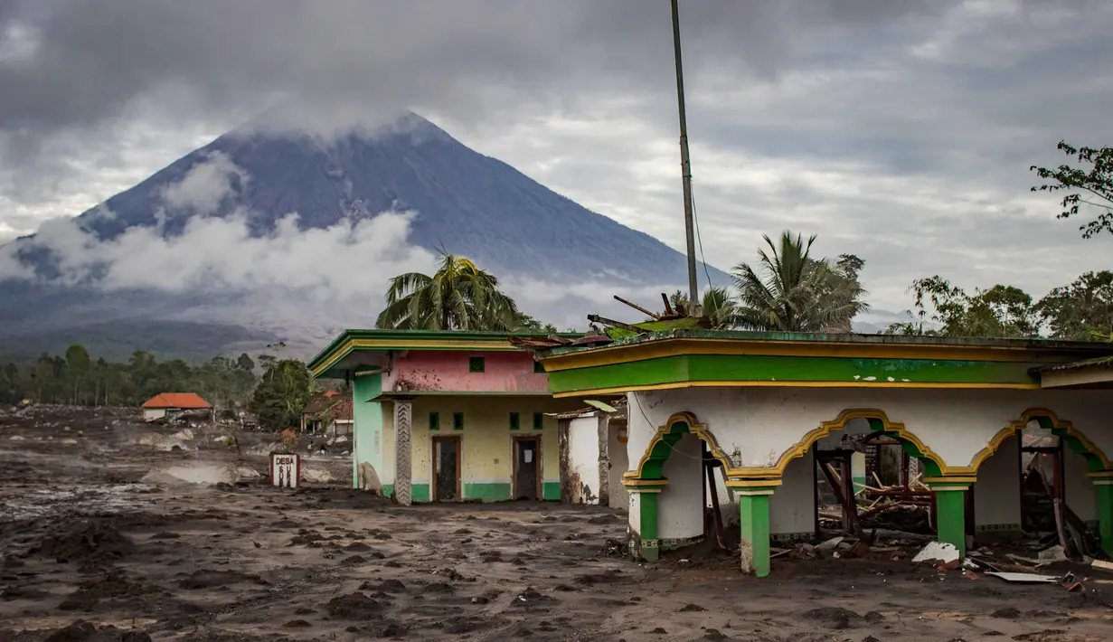 Erupsi dimulai pada Rabu 19 November 2025 pagi hari dan terus berlanjut hingga sore, dengan letusan besar terjadi sekitar pukul 16.00 WIB. Tampak dalam foto, abu vulkanik menutupi permukaan tanah setelah aliran piroklastik selama letusan Gunung Semeru di Desa Supiturang, Lumajang, Jawa Timur, pada Kamis 20 November 2025. (Agus Harianto/AFP)