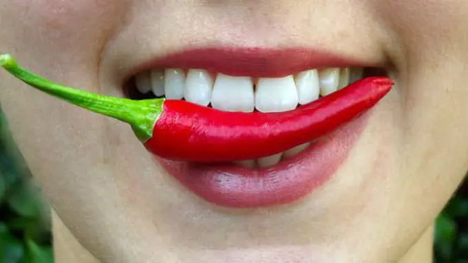 Banyak masyarakat Indonesia hobi menyantap masakan super pedas/copyright: Pixabay.com