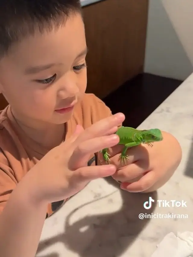 Potret Hewan Peliharaan Athar Anak Citra Kirana dan Rezky Aditya (instagram/citraciki)