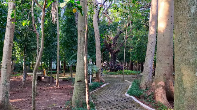Aktivis Lingkungan Tolak Rencana Pemkot Malang Revitalisasi Hutan Kota Malabar