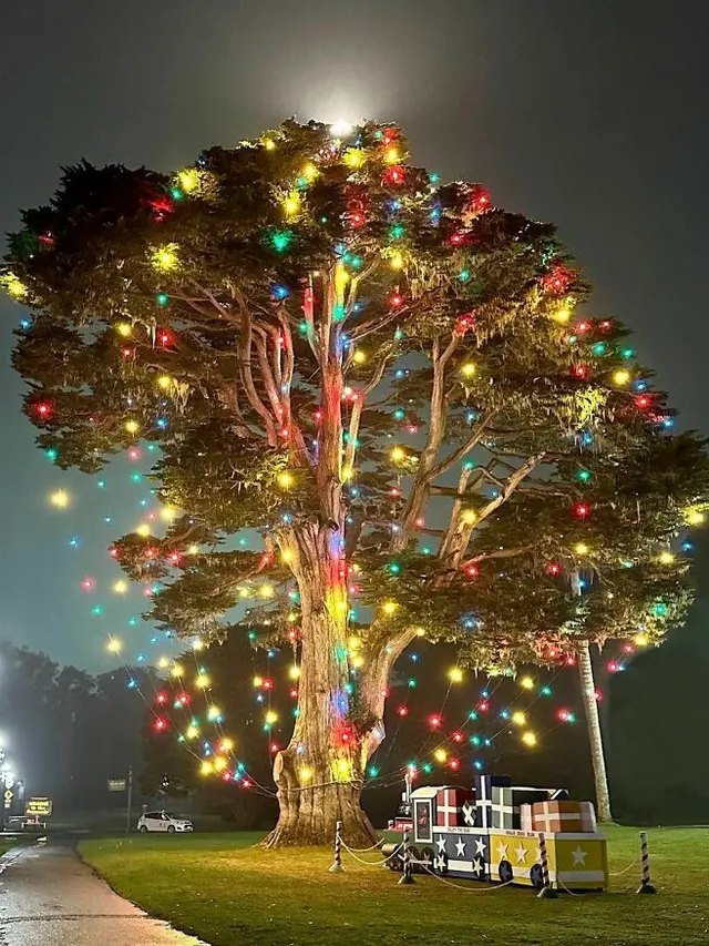 7 Kreasi Pohon Natal Tanpa Memakai Tumbuhan Cemara, Unik dan Tetap Estetik