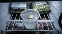 Trik Taruh Koin di Freezer untuk Membantu Mengecek Kondisi Kulkas, Sederhana tapi Berguna