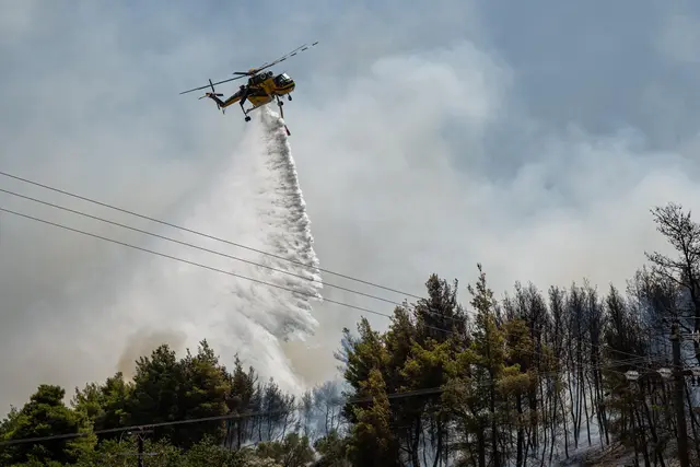 Kebakaran Hutan, Nyaris Separuh Pulau di Yunani Hangus Terbakar