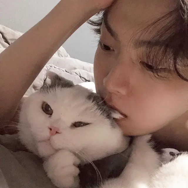 Anju, kucing peliharaan Ahn Jae Hyun (Instagram/ aagbanjh)