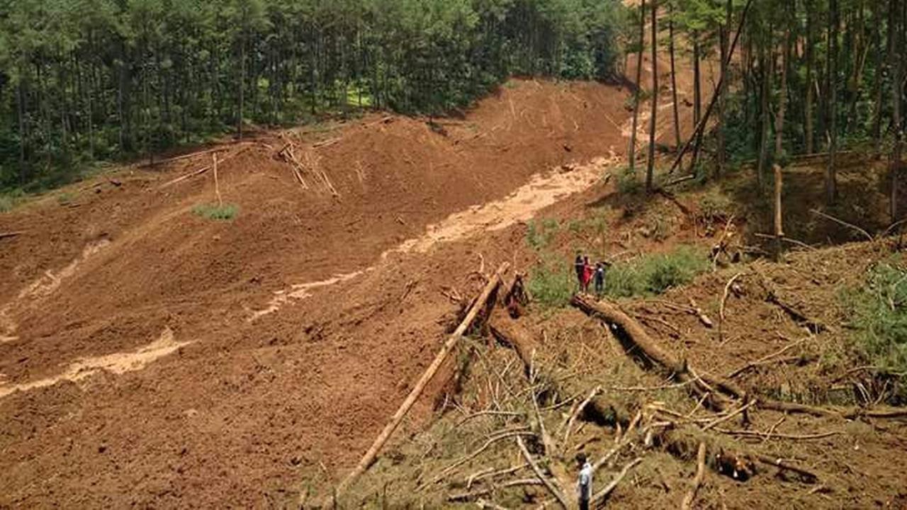 Tak Sampai 20 Menit, Longsor Brebes Hancurkan Jalan dan Hutan