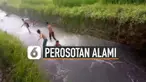 Bahagia itu sederhana. Ini yang dirasakan oleh anak-anak dan remaja yang sedang menikmati perosotan alami di tengah hamparan sawah.