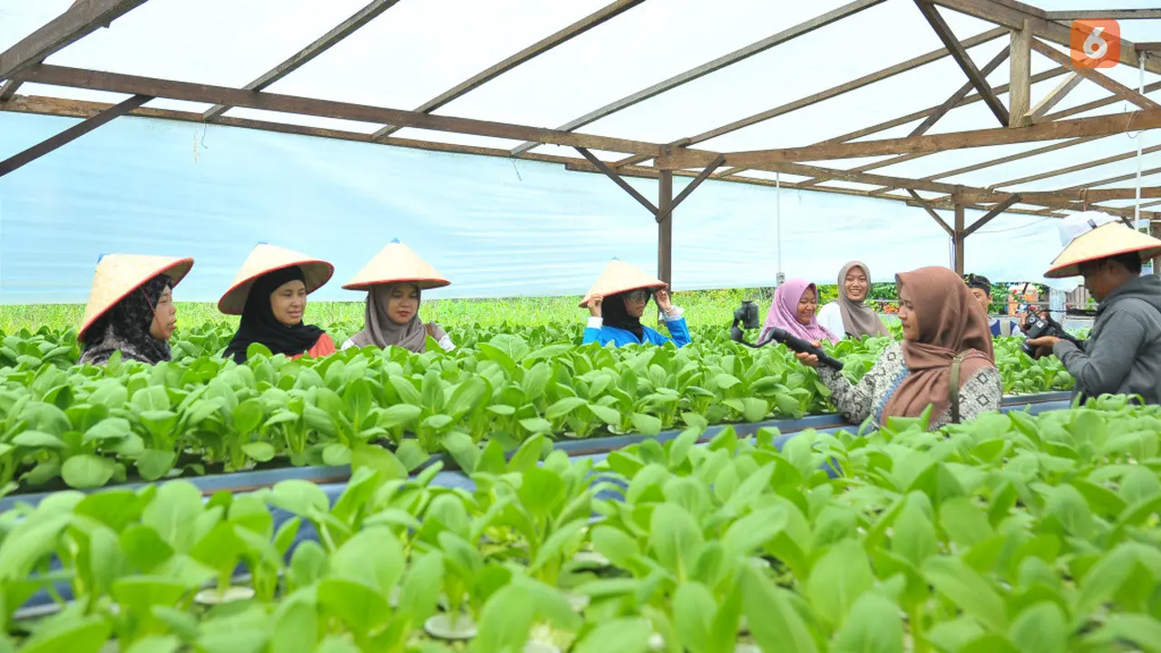 Desa Batulicin Irigasi Tanbu Kalsel
