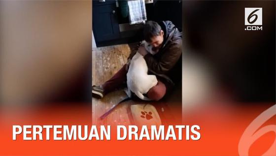 VIDEO: Mengharukan, Tunawisma Bertemu Anjing yang Hilang