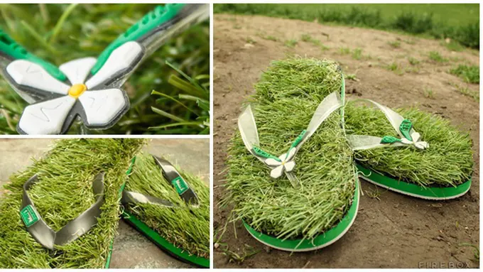 (c) Green Grass Flip Flop/Firebox