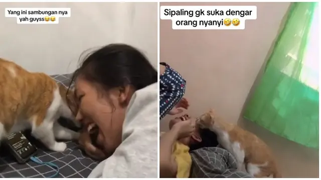 Momen Lucu Kucing Gigit Majikan yang Sedang Nyanyi karena Kesal, Merasa Terganggu