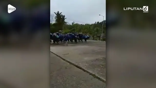 VIDEO: Antre BBM, Warga Tarakan Seperti Lomba Lari