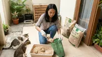 7 Cara Membuang Kotoran Kucing di Lahan Terbatas, Rumah Tetap Wangi dan Sehat