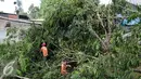 Pohon roboh menutup saluran Air di Tanah Baru, Srengseng Sawah, Jakarta, Jumat (2/9). Tumbangnya sejumlah pohon dikarenakan hujan yang disertai angin kemarin malam. (Liputan6.com/Yoppy Renato)