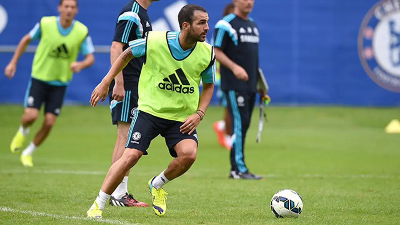 Cesc Fabregas