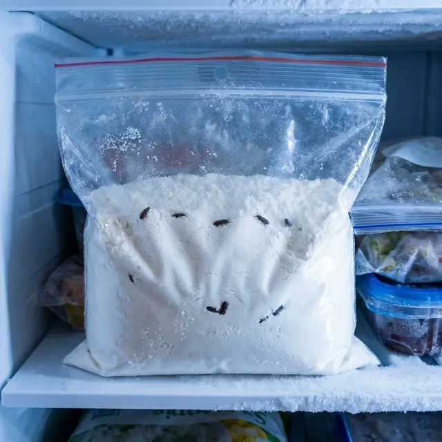 Cara Mengusir Kumbang Beras dari Tepung