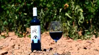 Sebotol anggur biru 'Gik Life' di pabrik pembuat anggur di Maluenda, wilayah Aragon, Spanyol, 13 September 2018. Pemanis non-kalori ditambahkan untuk membuat cita rasa minuman anggur jadi lebih nikmat. (AFP/GABRIEL BOUYS)