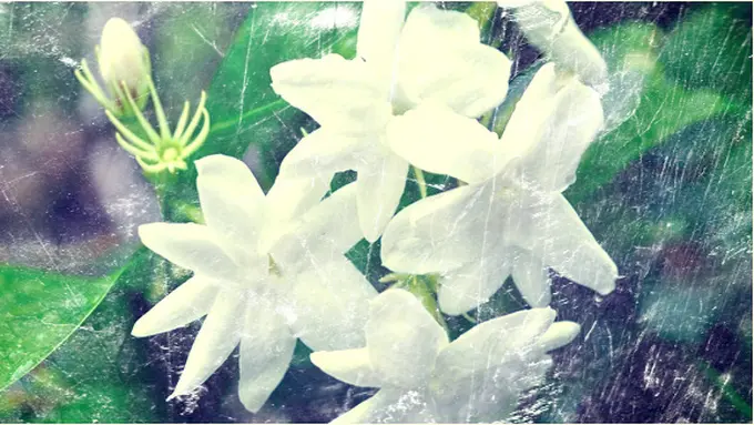 Courtesy ShutterStock.com