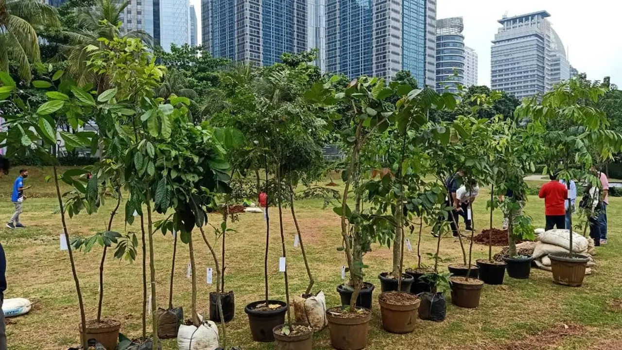 PDIP Gelar Aksi Tanam Pohon di GBK