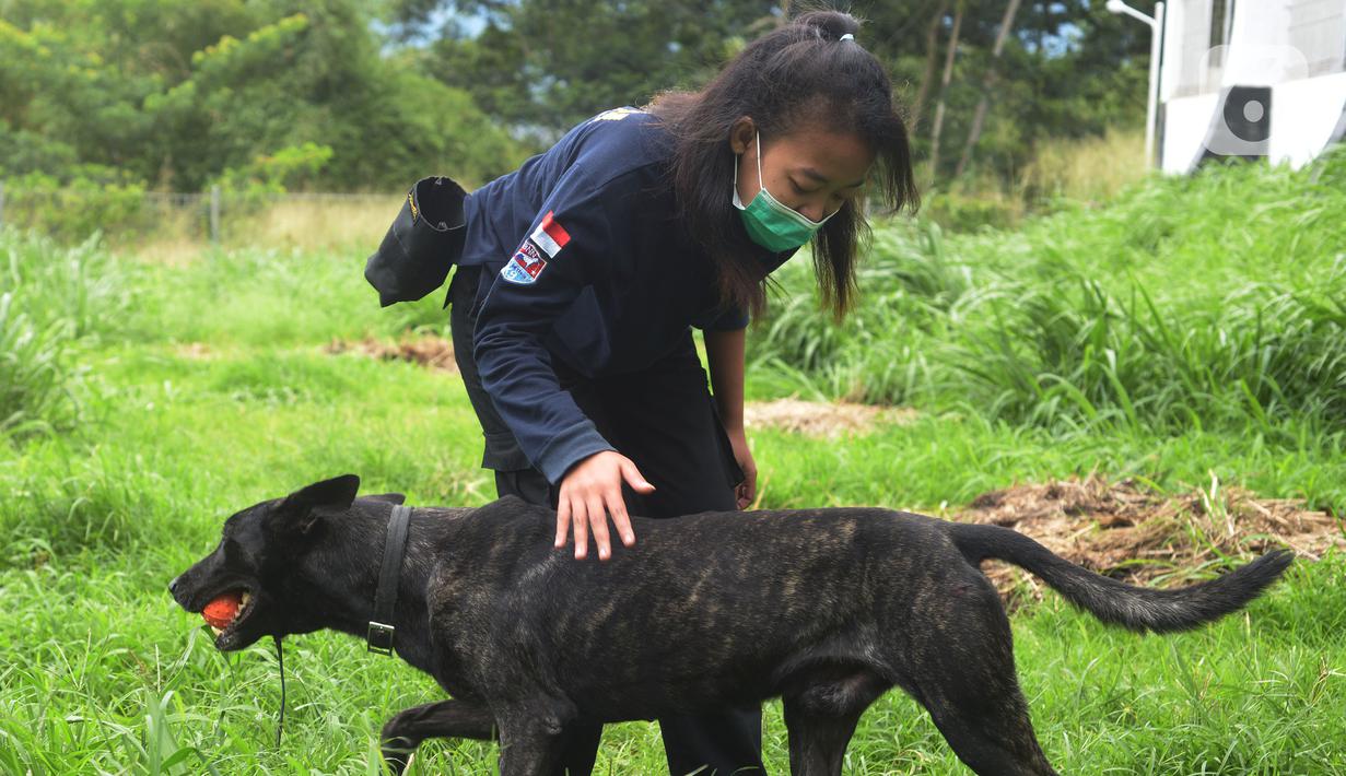 Pelatih K9 wanita Nina Herlina melatih seekor anjing di Markas Komando K9 BNN, Selasa (8/3/2022). Dalam rangka Hari Perempuan Sedunia, BNN terus meningkatkan kemampuan para pelatih khususnya perempuan dan kemampuan hewan. (merdeka.com/Imam Buhori)