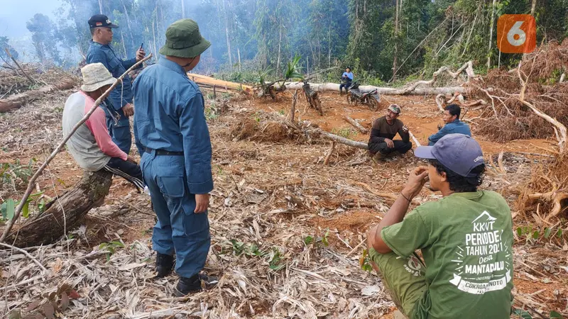 KLHK menangkap warga perambah hutan di Luwu Timur (Liputan6.com/Ahmad Yusran))