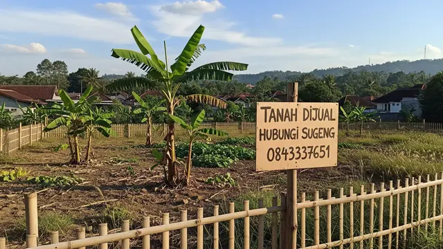 Ilustrasi Tanah Dijual